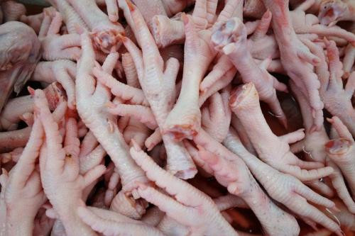 1575942328362796.jpg 進口冷凍雞爪報關