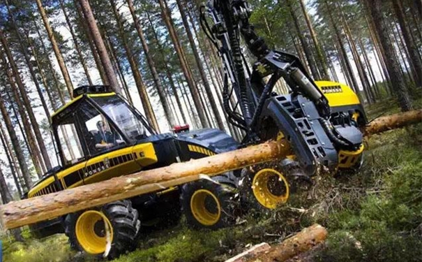 【進口伐木機清關(guān)代理】的流程,一般貿(mào)易進口伐木機 進口伐木機清關(guān)代理