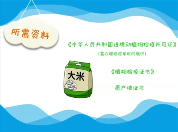 1614941937504638.png 進口食品報關