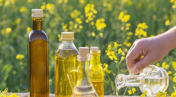 1629974353851449.jpg 上海菜籽油進(jìn)口報(bào)關(guān)代理公司_副本.jpg