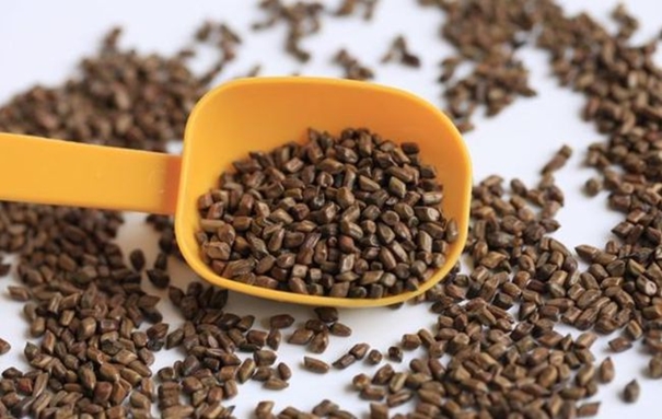 1631010244323005.jpg 印度決明子進口清關