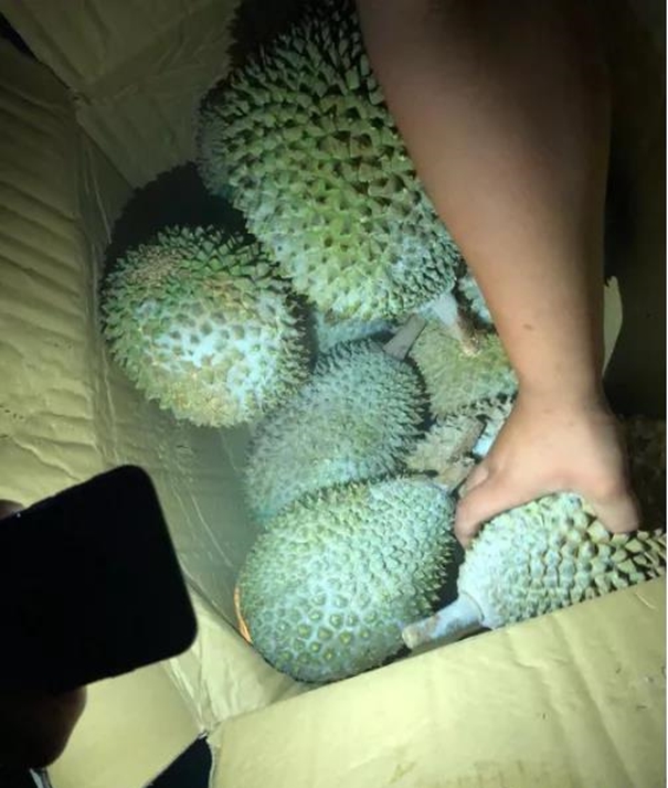 1637923437339410.jpg 泰國進(jìn)口榴蓮清關(guān)公司_副本.jpg