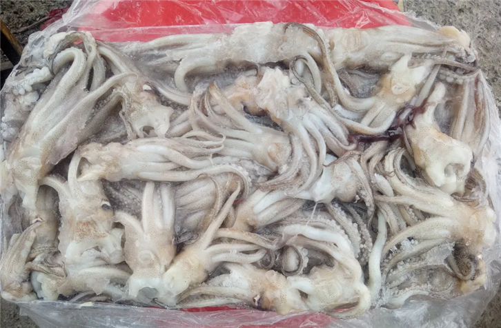 1651143644790410.png 冷凍魷魚進口報關(guān)_副本.png