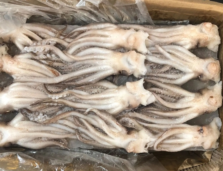 1651143653237839.jpg 冷凍魷魚進口報關(guān)_副本.jpg