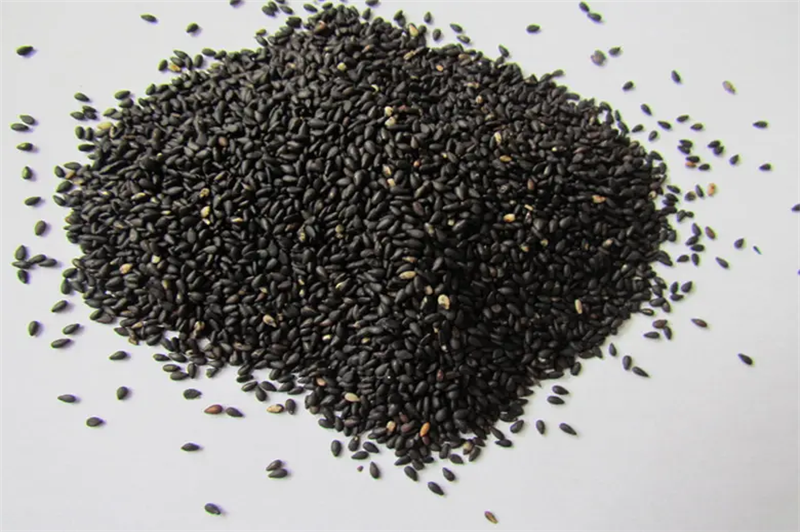 1666949296958014.png 進口芝麻報關清關代理.png