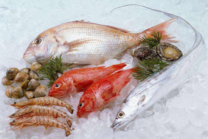 越南冷凍魚進口清關資料 越南冷凍魚進口清關資料